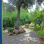 מלון Solcalante 3*