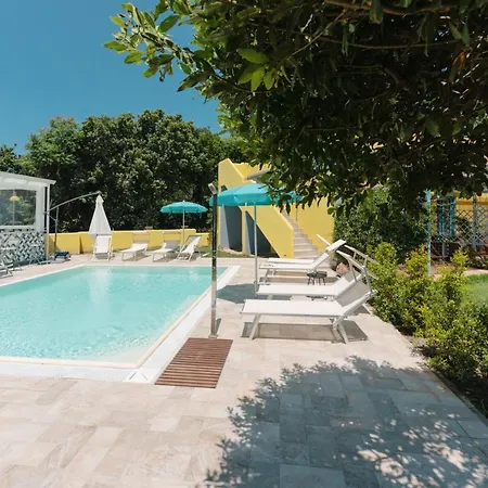 Solcalante 프로치다