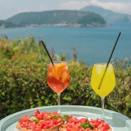 Solcalante 프로치다