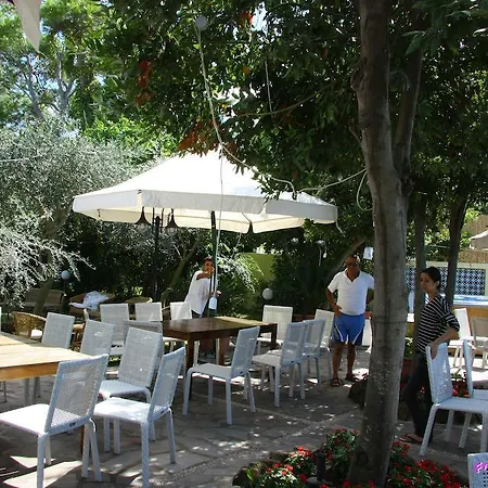 Ξενοδοχείο Solcalante 3*