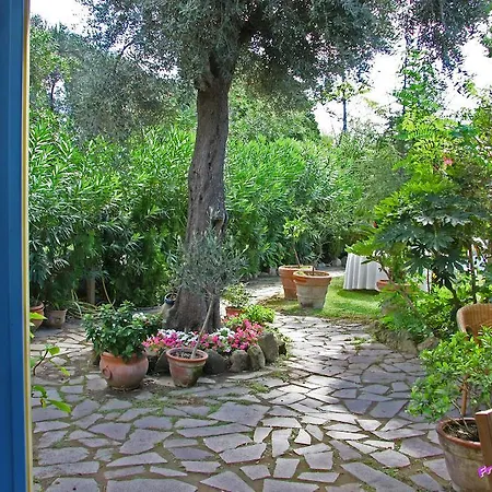 Ξενοδοχείο Solcalante 3*